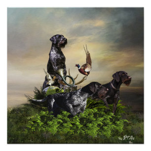 German Wirehaire Pointer Perfect Poster