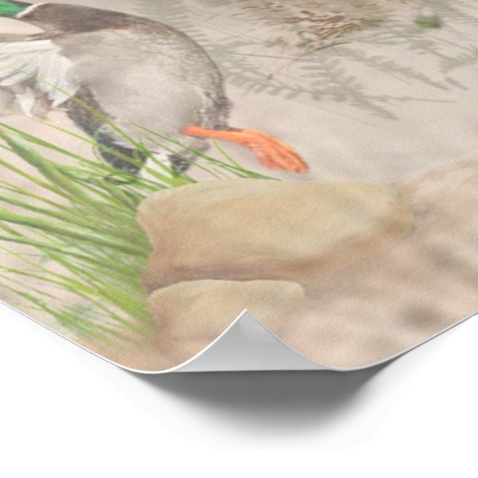 German Wirehaire Pointer Poster (Hoek)