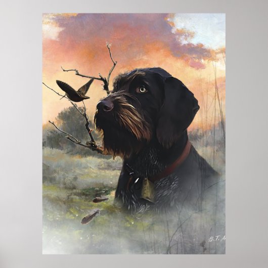 German Wirehaire Pointer Poster (Voorkant)