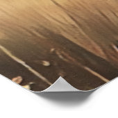 German Wirehaire Pointer Poster (Hoek)