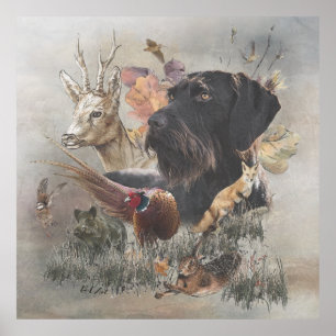 German Wirehaire Pointer Poster