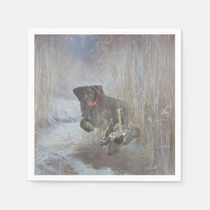 German Wirehaire Pointer Servet