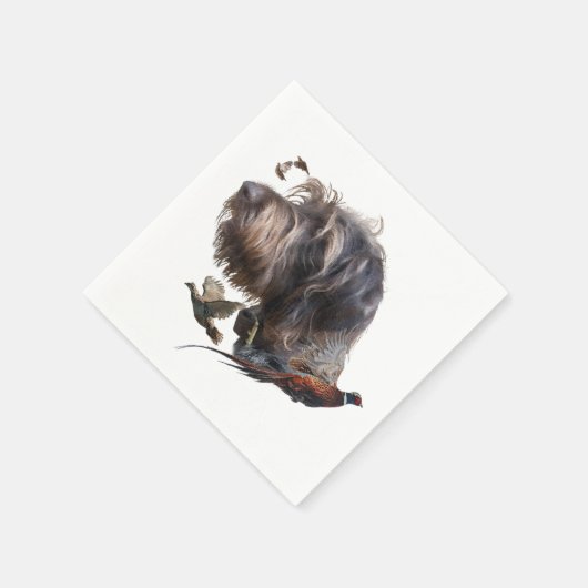 German Wirehaire Pointer Servet (Hoek)