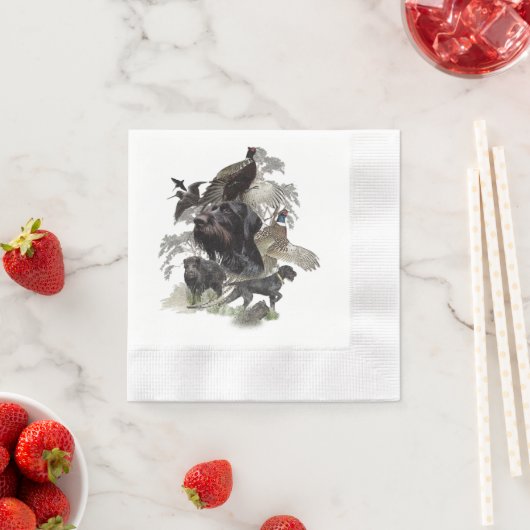 German Wirehaire Pointer Servet (Insitu)