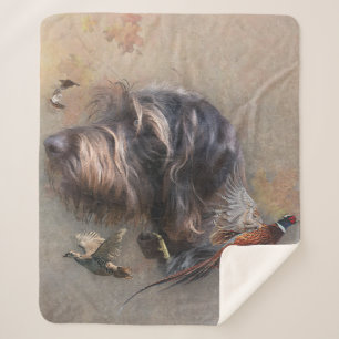 German Wirehaire Pointer Sherpa Deken