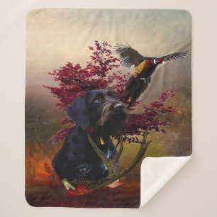 German Wirehaire Pointer Sherpa Deken