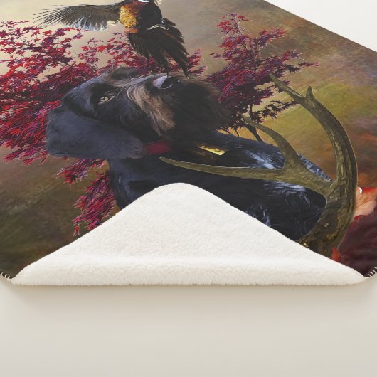 German Wirehaire Pointer Sherpa Deken (3/4)