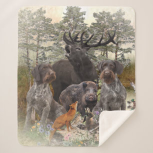 German Wirehaire Pointer Sherpa Deken