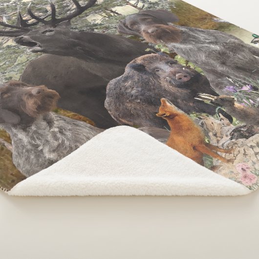 German Wirehaire Pointer Sherpa Deken (3/4)