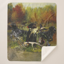 German Wirehaire Pointer Sherpa Deken