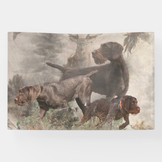 German Wirehaire Pointer Spandoek (Horizontaal)