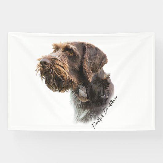 German Wirehaire Pointer Spandoek (Horizontaal)