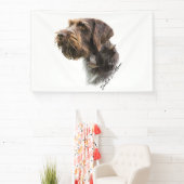 German Wirehaire Pointer Spandoek (Insitu)