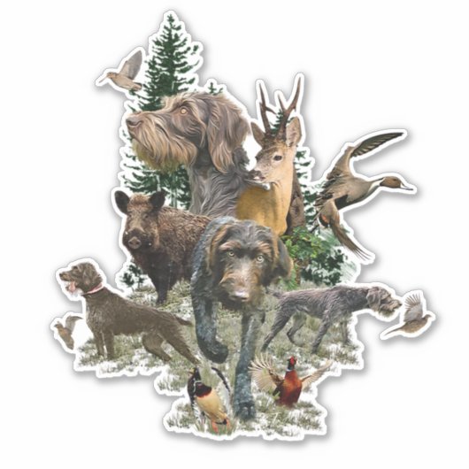 German Wirehaire Pointer Sticker (Voorkant)