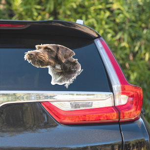 German Wirehaire Pointer Sticker