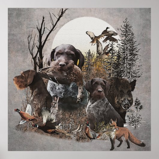 German Wirehaire Pointer Tapestry Gallery Wrap AC Poster (Voorkant)