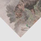 German Wirehaire Pointer Tissuepapier (Detail)