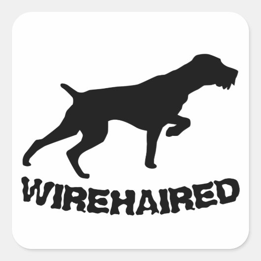German Wirehaire Pointer Vierkante Sticker (Voorkant)