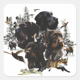 German Wirehaire Pointer Vierkante Sticker