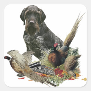German Wirehaire Pointer Vierkante Sticker
