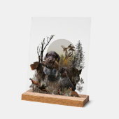 German Wirehaired Pointer, GWP Acryl Bord (Hoek)