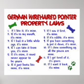 GERMAN WIREHAIRED POINTER PL2 POSTER (Voorkant)