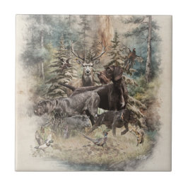 German Wirehaired Pointer Tegeltje