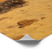 Gérôme - de Golf van Aqaba 1897 Poster (Hoek)