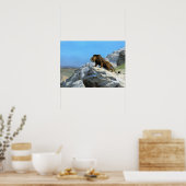Gérôme - Leeuw op de uitkijk Poster (Keuken)