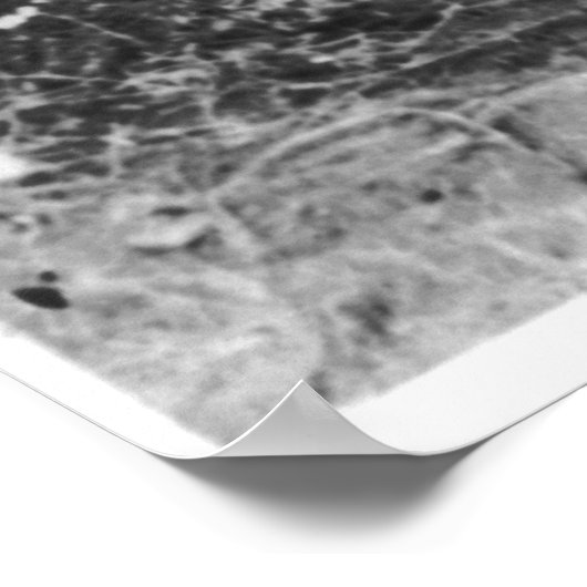 Geronimo [1886] poster (Hoek)