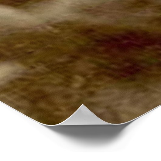 Geronimo 1904 poster (Hoek)