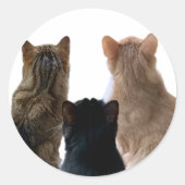 Geronimo, Henri & Floyd Sticker (Voorkant)