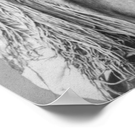 Geronimo in adres 1907 poster (Hoek)