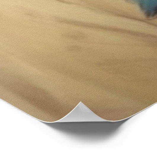 Geronimo Indiaanse krijger portret Poster (Hoek)