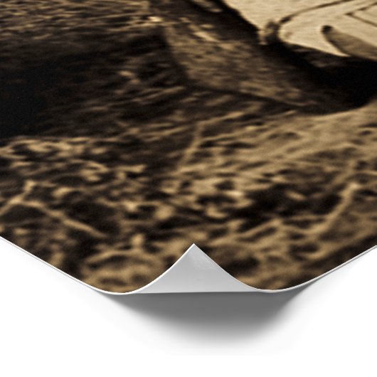 Geronimo met Rifle 1886 Indiaan Poster (Hoek)