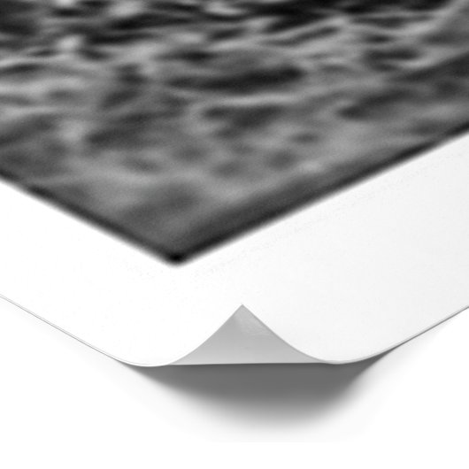 Geronimo met Rifle 1886 Poster (Hoek)