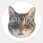 Geronimo Sticker (Voorkant)