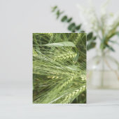 gersteveld briefkaart (Staand voorkant)