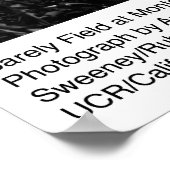 Gerstveld in Montezuma Hills door Ansel Adams Poster (Hoek)