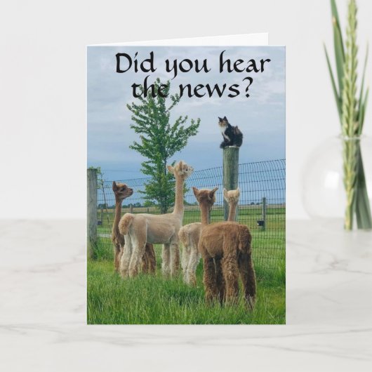 Gerucht: **70ste VERJAARDAG** NIET ZO ERG Kaart (Voorkant)