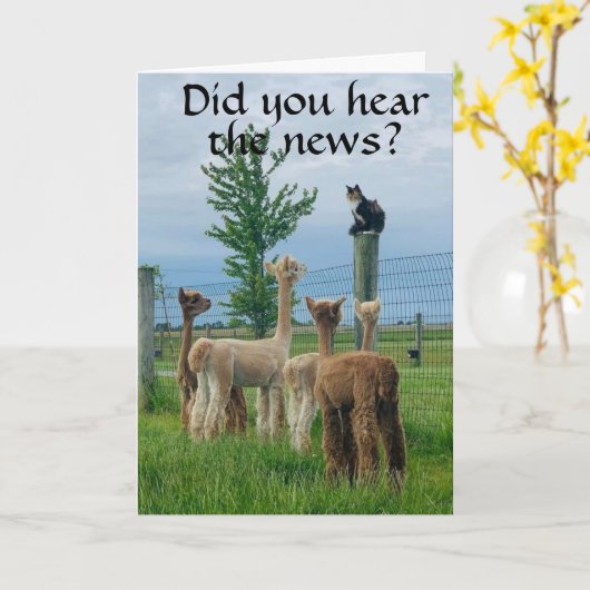 Gerucht: **70ste VERJAARDAG** NIET ZO ERG Kaart (Gele Bloem)