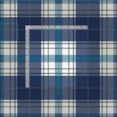 geruit blauw stof (Delen)