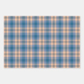 Geruit Plaid Beige Blauw Grijs en Perzik Inpakpapier Vel (Voorkant 3)