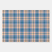 Geruit Plaid Beige Blauw Grijs en Perzik Inpakpapier Vel (Voorkant)
