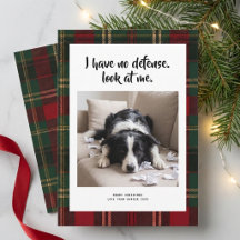 Geruite grappige schattige hond foto kerst vakanti