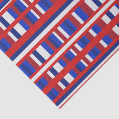 Geruite Patriot Tissuepapier (Detail)