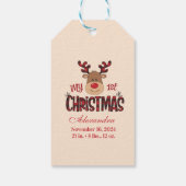 Geruite Rendier Baby Eerste Kerstmis Cadeaulabel (Achterkant)