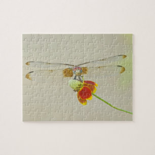 Geruite Setwing (Dythemis fugax) op Mexicaans Legpuzzel