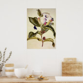 Gesacrode datura en blauwe vlinder poster (Keuken)