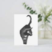 Geschaduwde Kattenblijdschap Briefkaart (Staand voorkant)